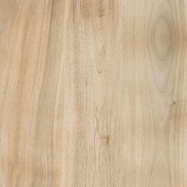 GZO Arena Holz Noce 60/60/2 cm hellbraun
