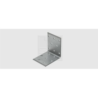 SWG Lochplattenwinkel 100x100x80x2.5