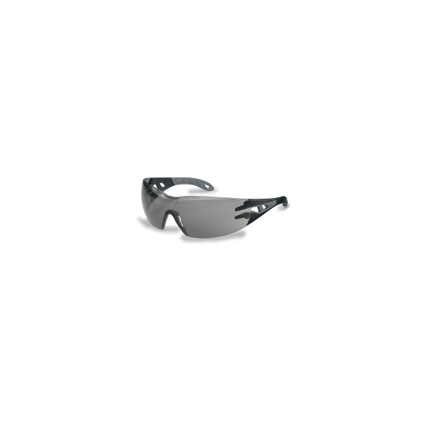 Uvex Schutzbrille pheos grau sv exc. sw/gr