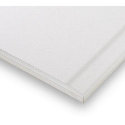 Rigips Die Dicke RF 20 20x625x2000mm - 32 Stück / Palette