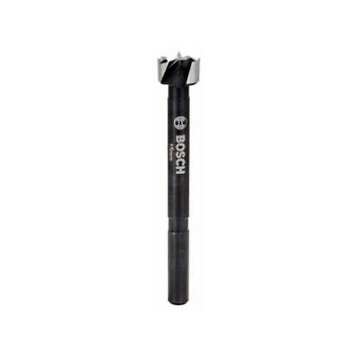 Bosch Forstnerbohrer DIN 7483 G Ø15mm gewellt - 2608577003