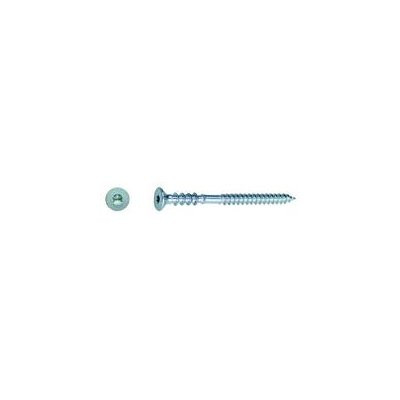 ACP Justier-Distanzschraube TX25 vz 6x120mm 100er-Pack