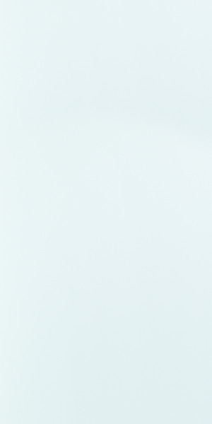 Wandfliese 30x60x0.8 cm weiß matt kalibr.