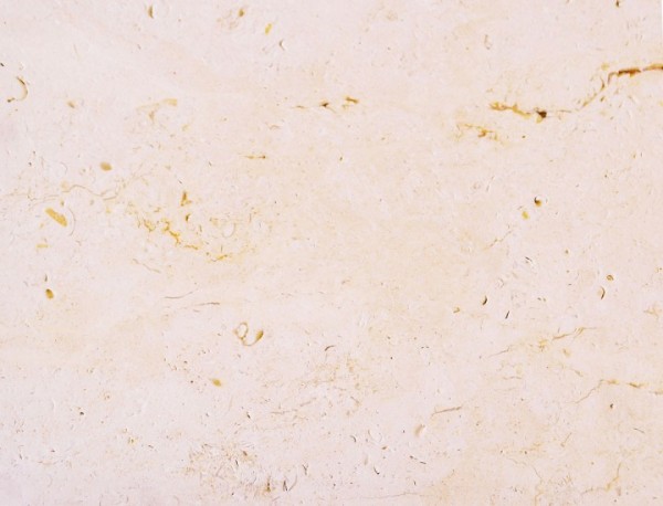 SELTRA Platte IREMIA CREMATOS gelb-beige 49.7x74.7x3cm Türkei Kalkstein