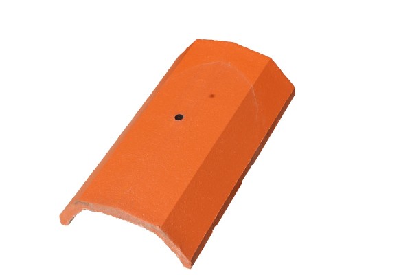 Braas Tegalit Protegon MATT Classic Red Ridgestone