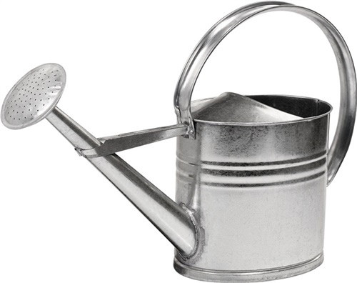 Gießkanne 10l silber MET vz