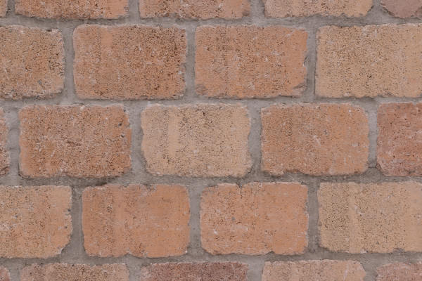 BWL Mauer Tegula Normalstein 24.4/16/18 cm javabraun