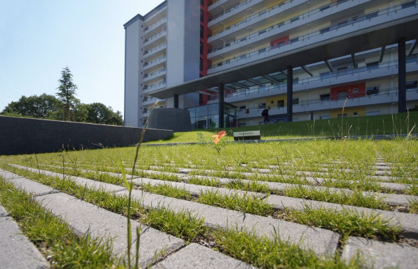 GDM SCADA Rasenliner Platte nativo Grau L/B/D: 40/40 u 40/20/12cm m 42mm FugeVZ4