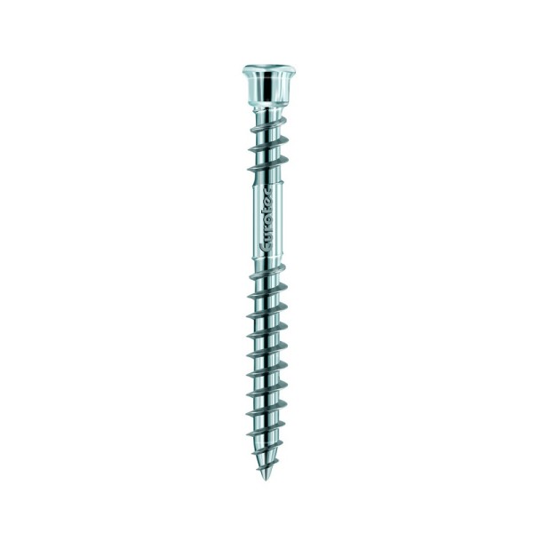 Eurotec Terrassotec Edelstahl A4 TX25 5.5 x 60 mm 100 St.