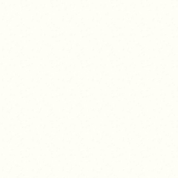 Trespa Meteon B1 beids. 2550x1860x8mm A05.0.0 Satin Pure White