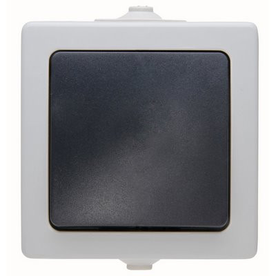 Kopp AP-FR A/W-Schalter Nautic grau