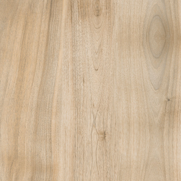 GZO Arena Holz Noce 60/60/2 cm hellbraun