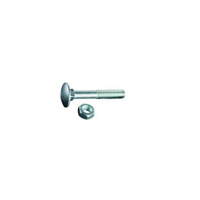 ACP carriage bolt with nut vz 8.0x20mm pack of 200