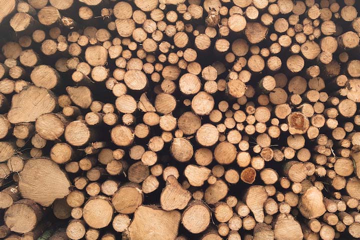Rohstoffe_Holz_720x480_web